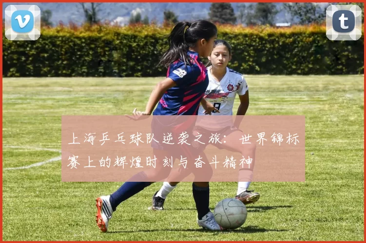 上海乒乓球队逆袭之旅：世界锦标赛上的辉煌时刻与奋斗精神
