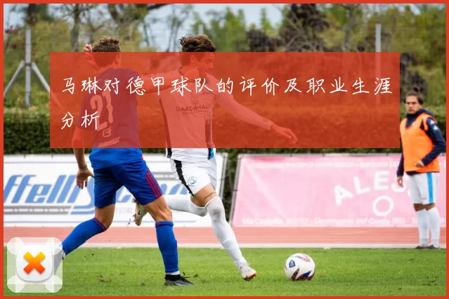 马琳对德甲球队的评价及职业生涯分析