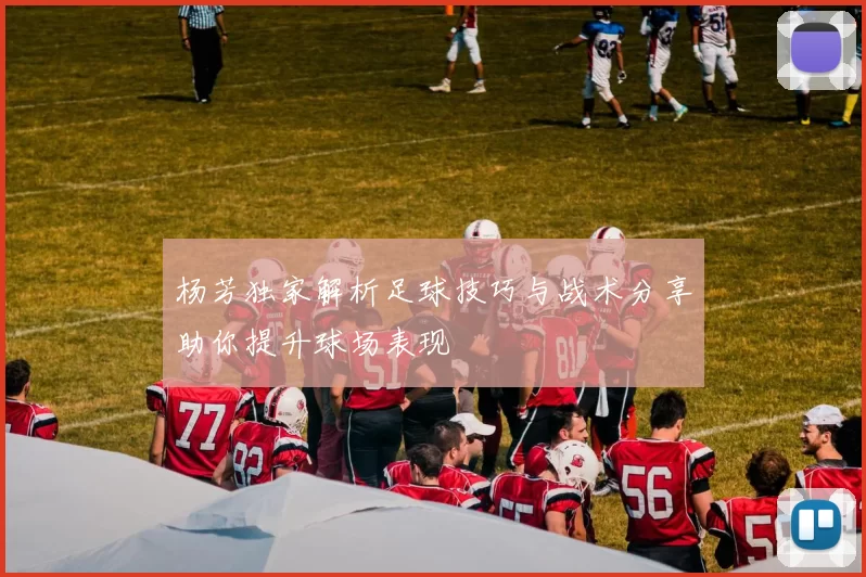 杨芳独家解析足球技巧与战术分享助你提升球场表现