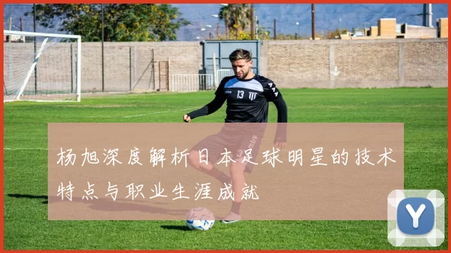 杨旭深度解析日本足球明星的技术特点与职业生涯成就