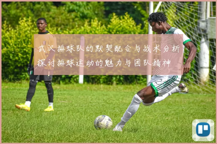 武汉排球队的默契配合与战术分析探讨排球运动的魅力与团队精神