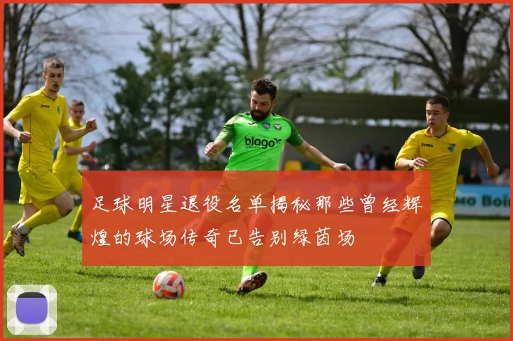 足球明星退役名单揭秘那些曾经辉煌的球场传奇已告别绿茵场