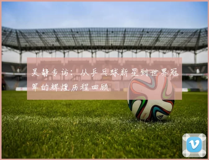 吴静专访：从乒乓球新星到世界冠军的辉煌历程回顾