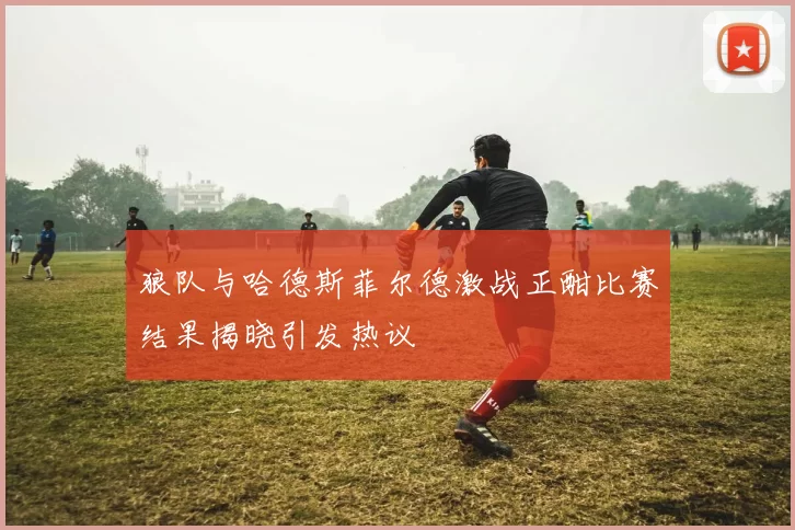 狼队与哈德斯菲尔德激战正酣比赛结果揭晓引发热议