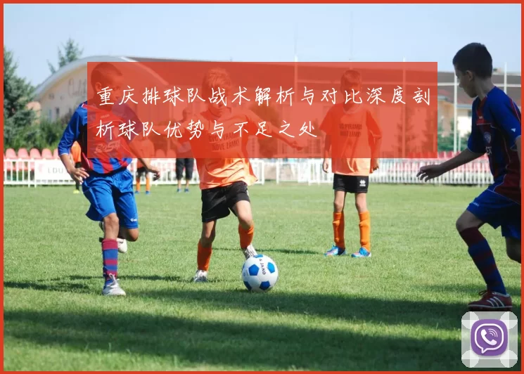 重庆排球队战术解析与对比深度剖析球队优势与不足之处