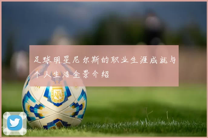 足球明星尼尔斯的职业生涯成就与个人生活全景介绍