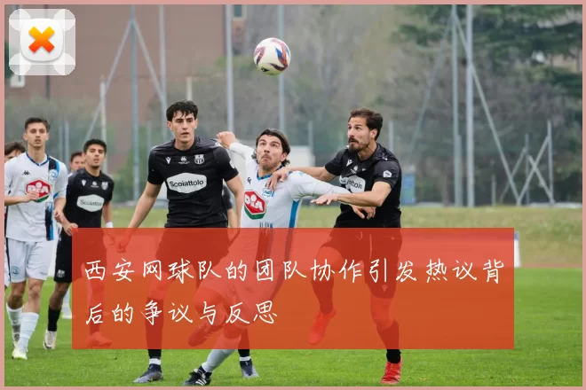 西安网球队的团队协作引发热议背后的争议与反思