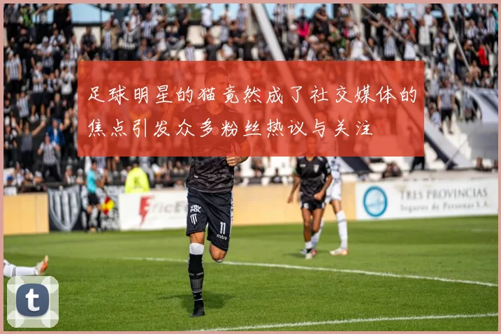 足球明星的猫竟然成了社交媒体的焦点引发众多粉丝热议与关注