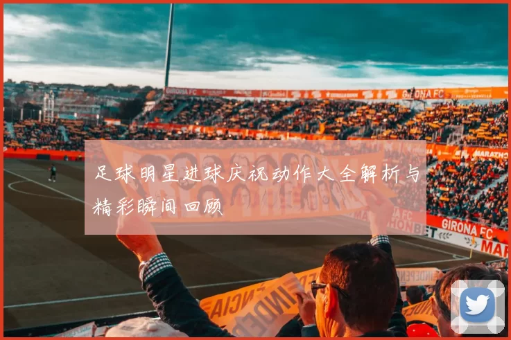 足球明星进球庆祝动作大全解析与精彩瞬间回顾