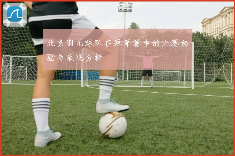 北京羽毛球队在冠军赛中的比赛经验与表现分析