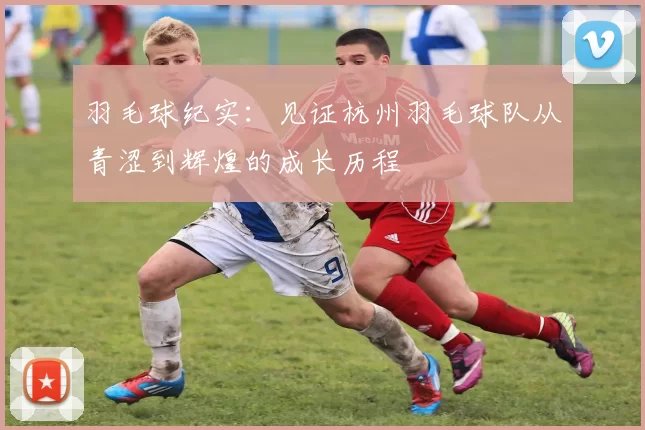羽毛球纪实：见证杭州羽毛球队从青涩到辉煌的成长历程