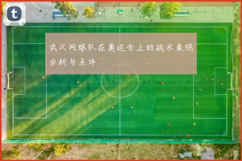 武汉网球队在奥运会上的战术表现分析与点评