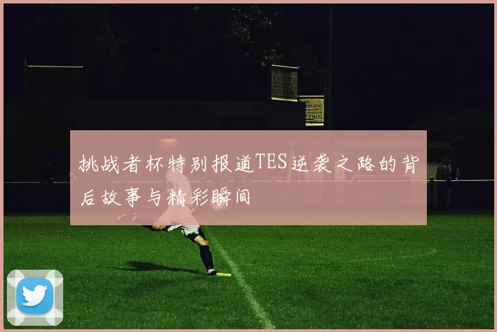 挑战者杯特别报道TES逆袭之路的背后故事与精彩瞬间