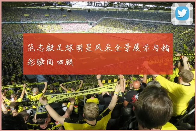 范志毅足球明星风采全景展示与精彩瞬间回顾