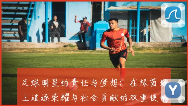 足球明星的责任与梦想：在绿茵场上追逐荣耀与社会贡献的双重使命